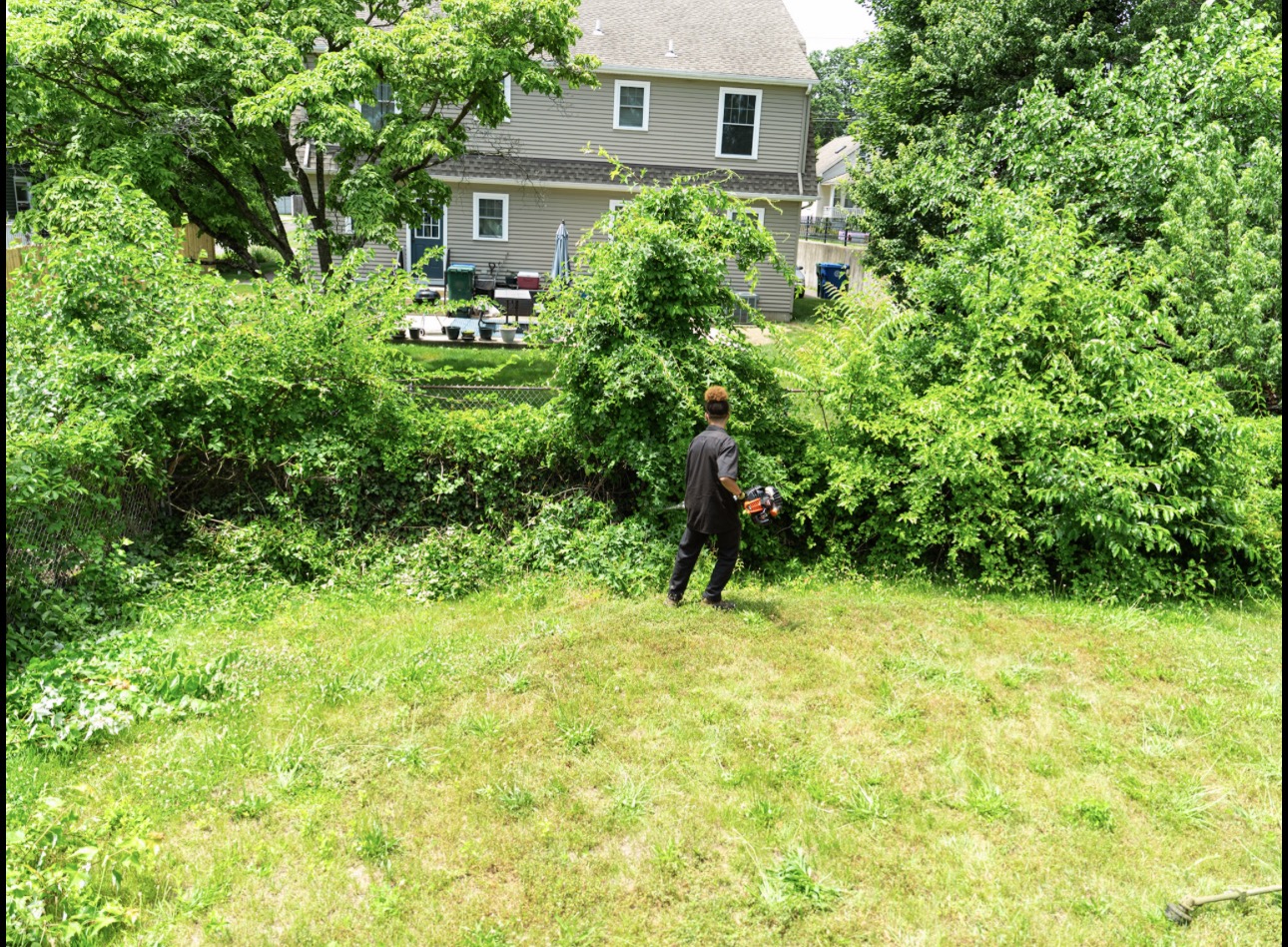 Before — overgrown Connecticut property prior to landscaping cleanup