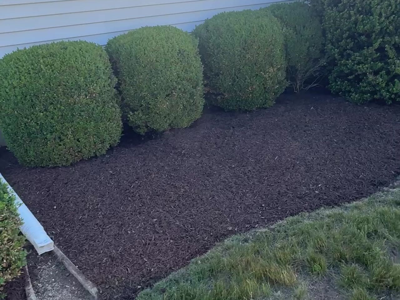 Shrub Trimming Connecticut