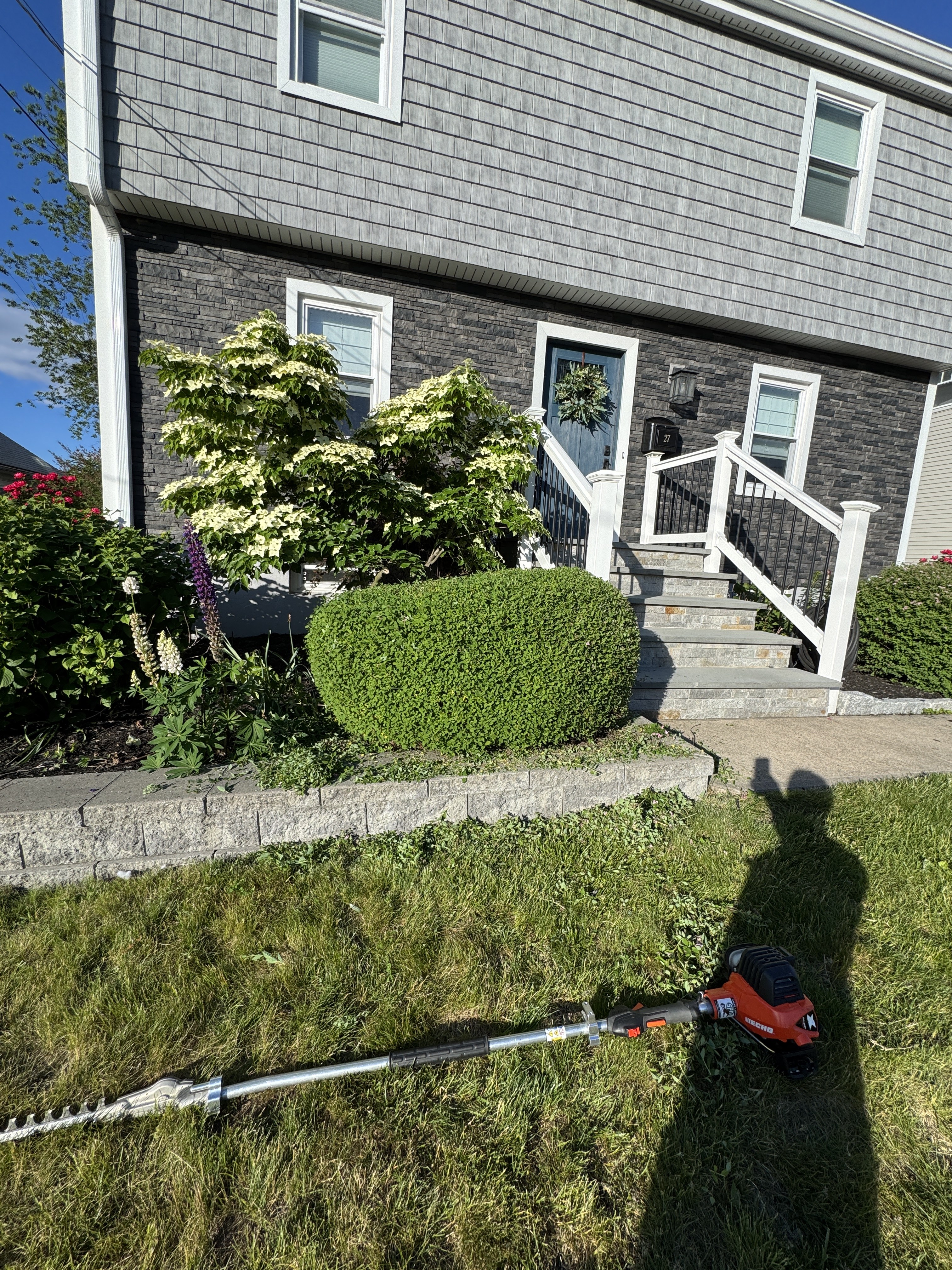 After — neatly trimmed shrubs in Fairfield County CT