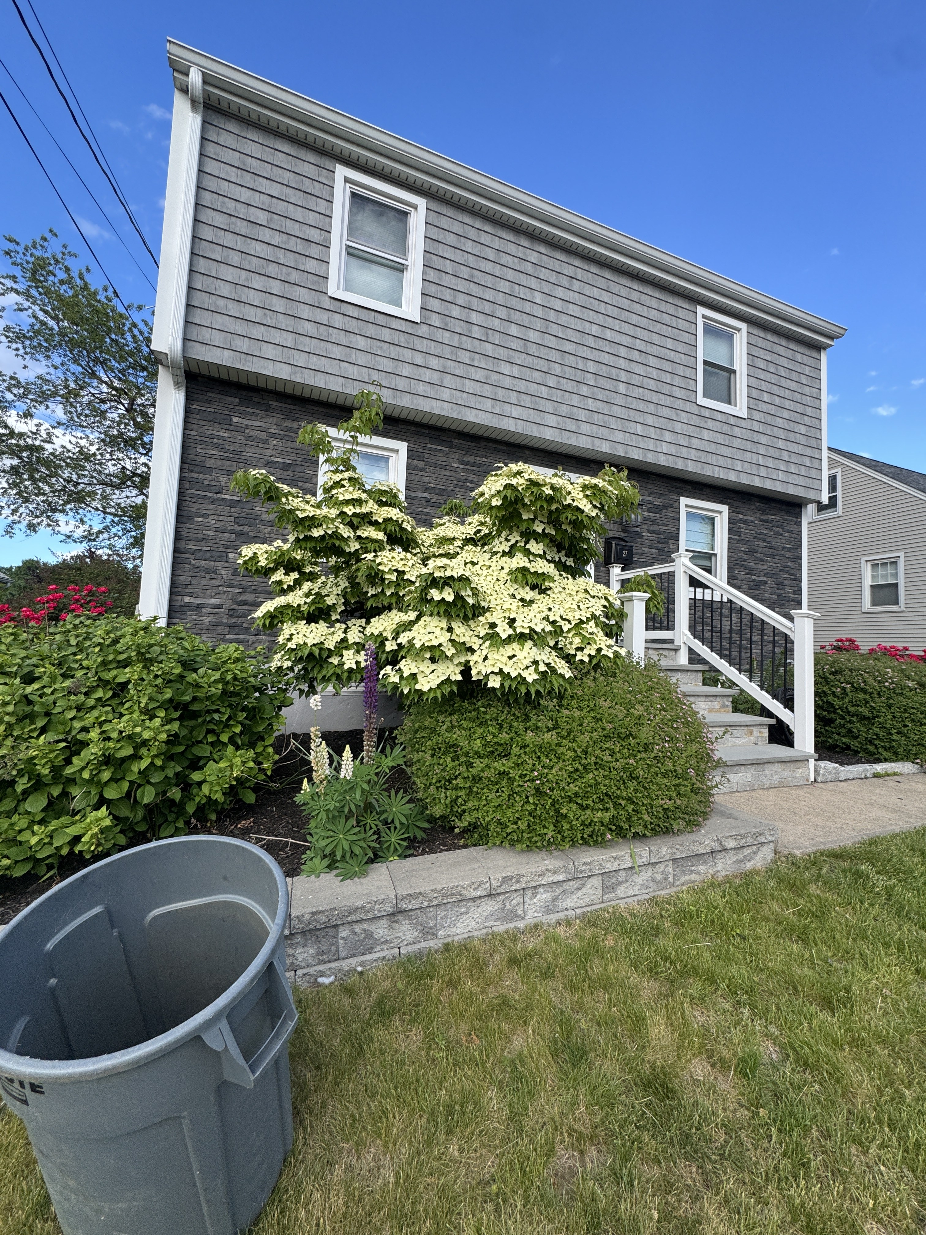 Before — overgrown shrubs in Fairfield County CT